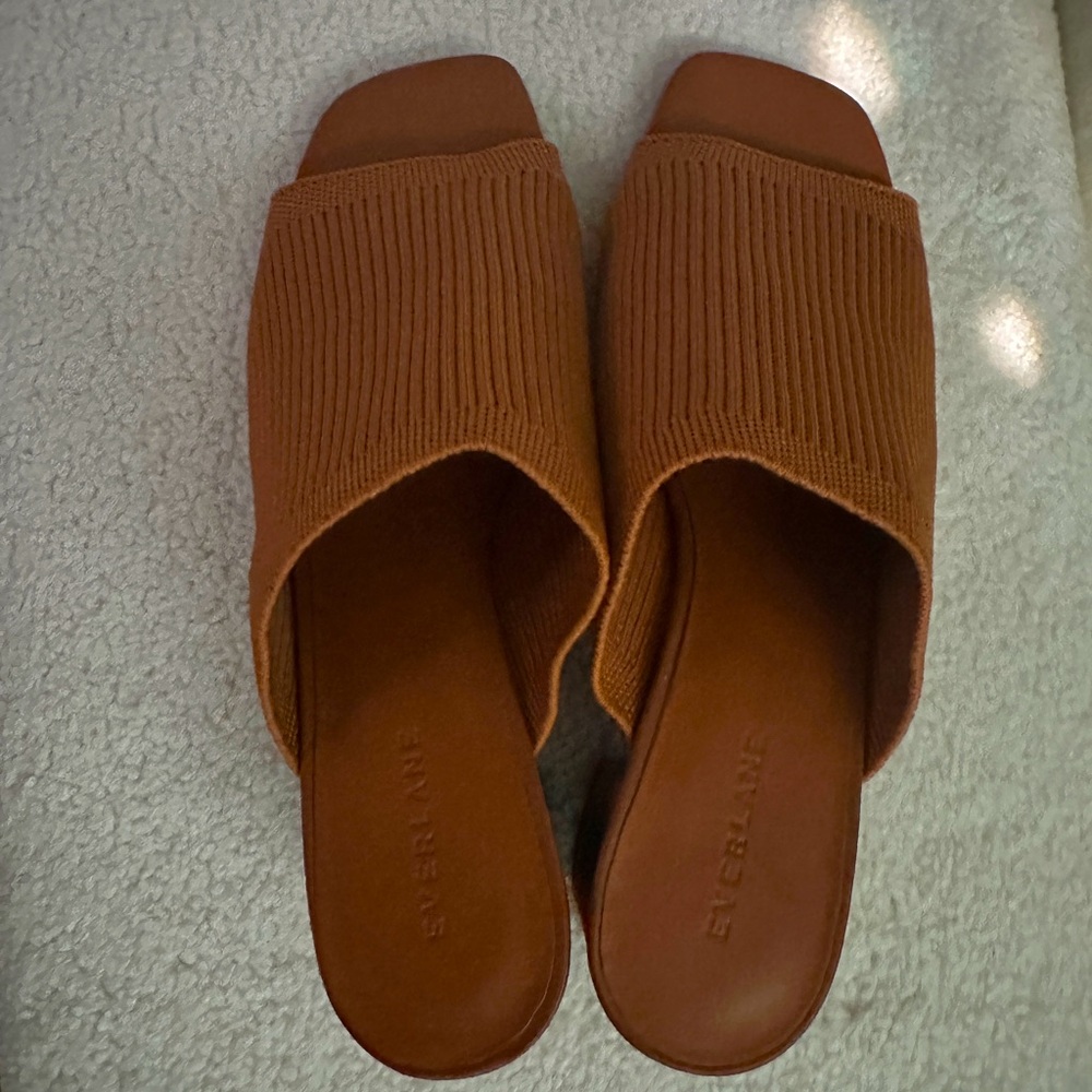Everlane Burnt Orange Sandal Heels for sale!